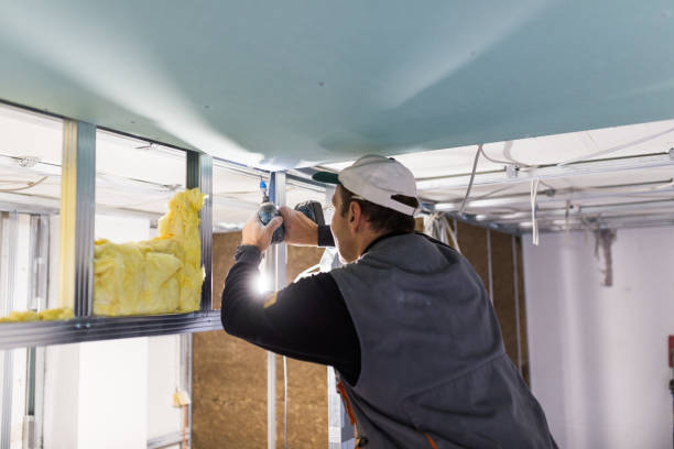 Best Soundproof Insulation  in Danielson, CT